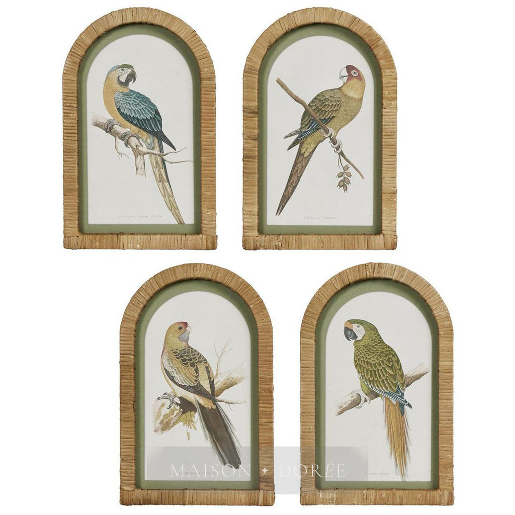Parrots in Arches Wall Art Set of 4