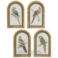 Parrots in Arches Wall Art Set of 4