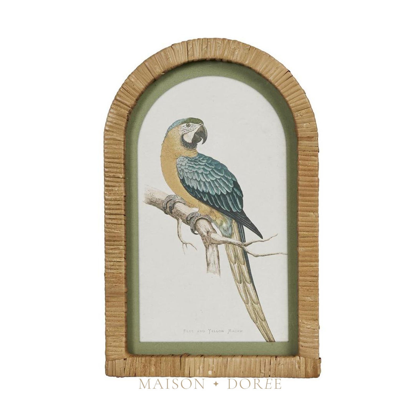 Parrots in Arches Wall Art Set of 4 - view 3