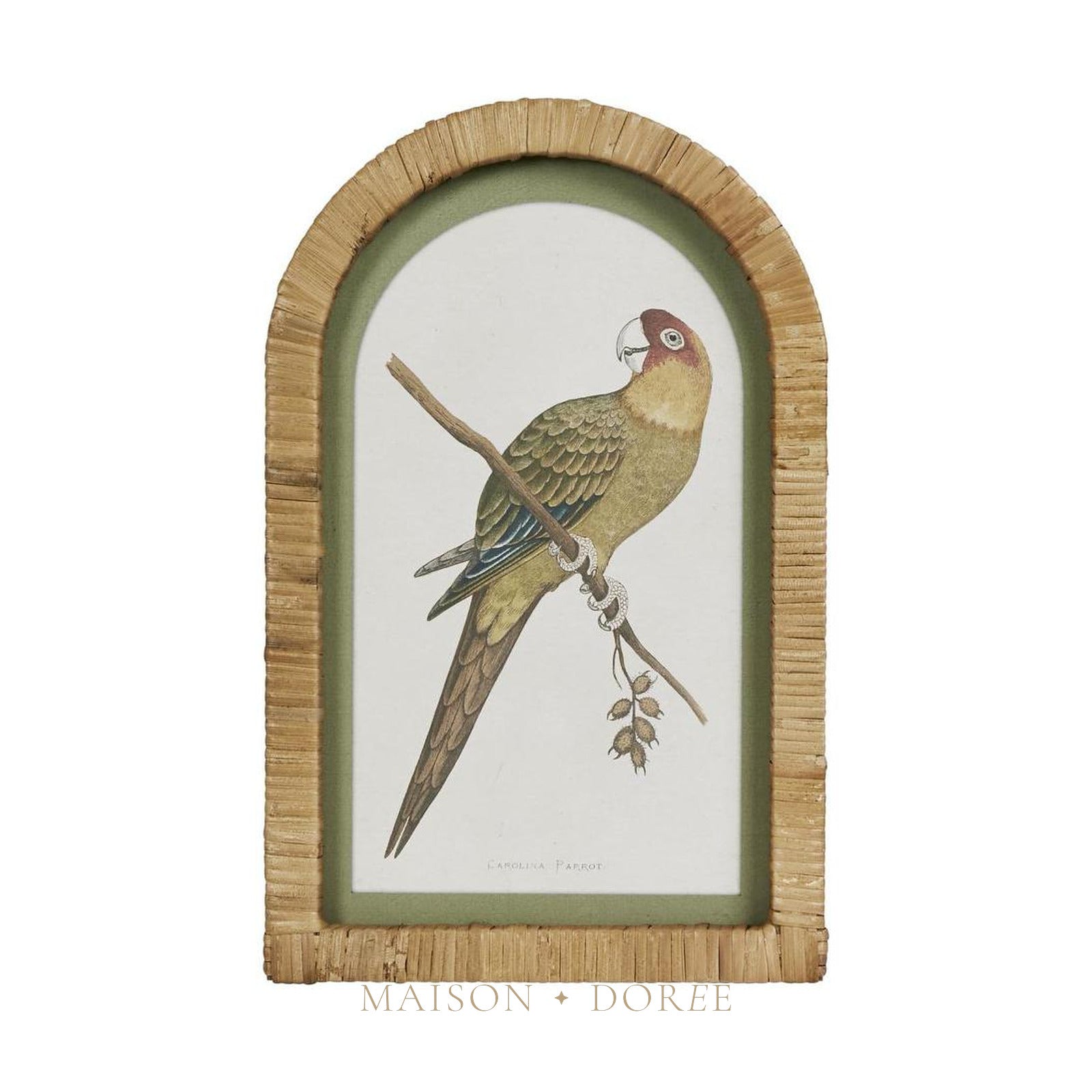 Parrots in Arches Wall Art Set of 4 - view 5