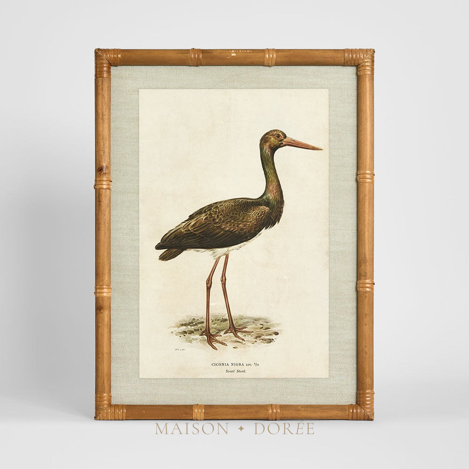 Heron Study A Wall Art 45x60cm