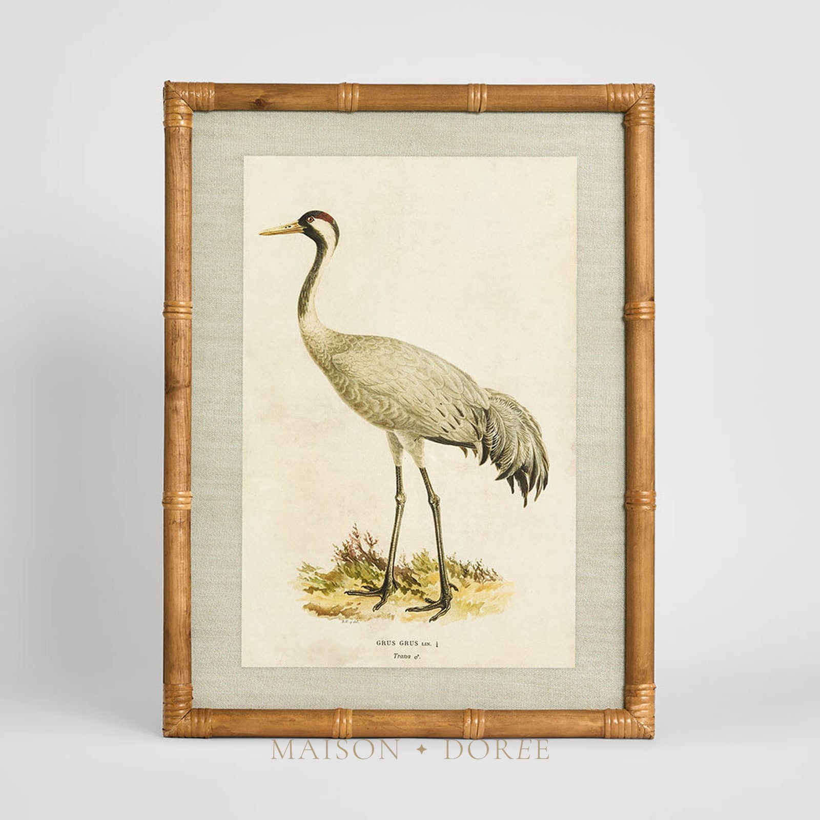Heron Study B Wall Art 45x60cm