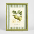 Apple Study 1 Wall Art 34x42cm