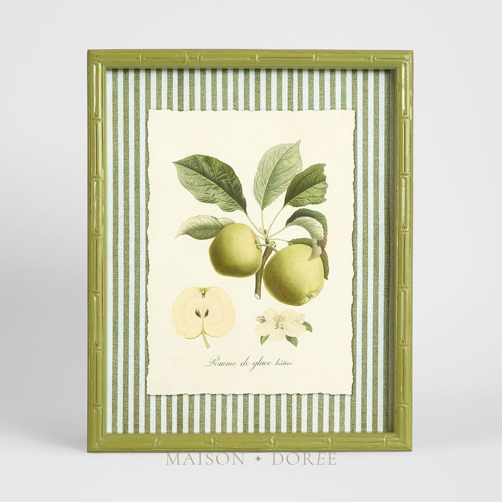 Apple Study 1 Wall Art 34x42cm