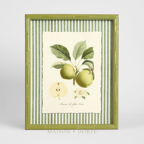 Apple Study 1 Wall Art 34x42cm