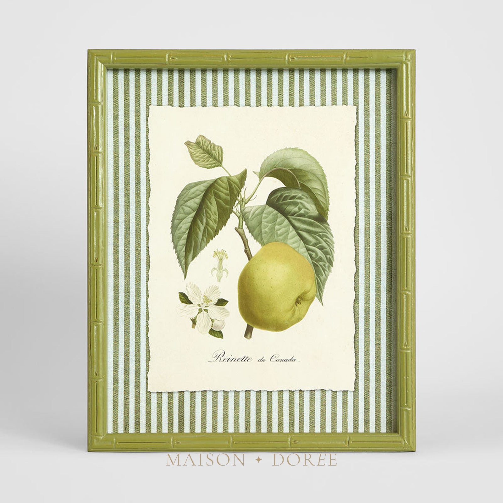 Apple Study 2 Wall Art 34x42cm