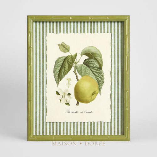 Apple Study 2 Wall Art 34x42cm