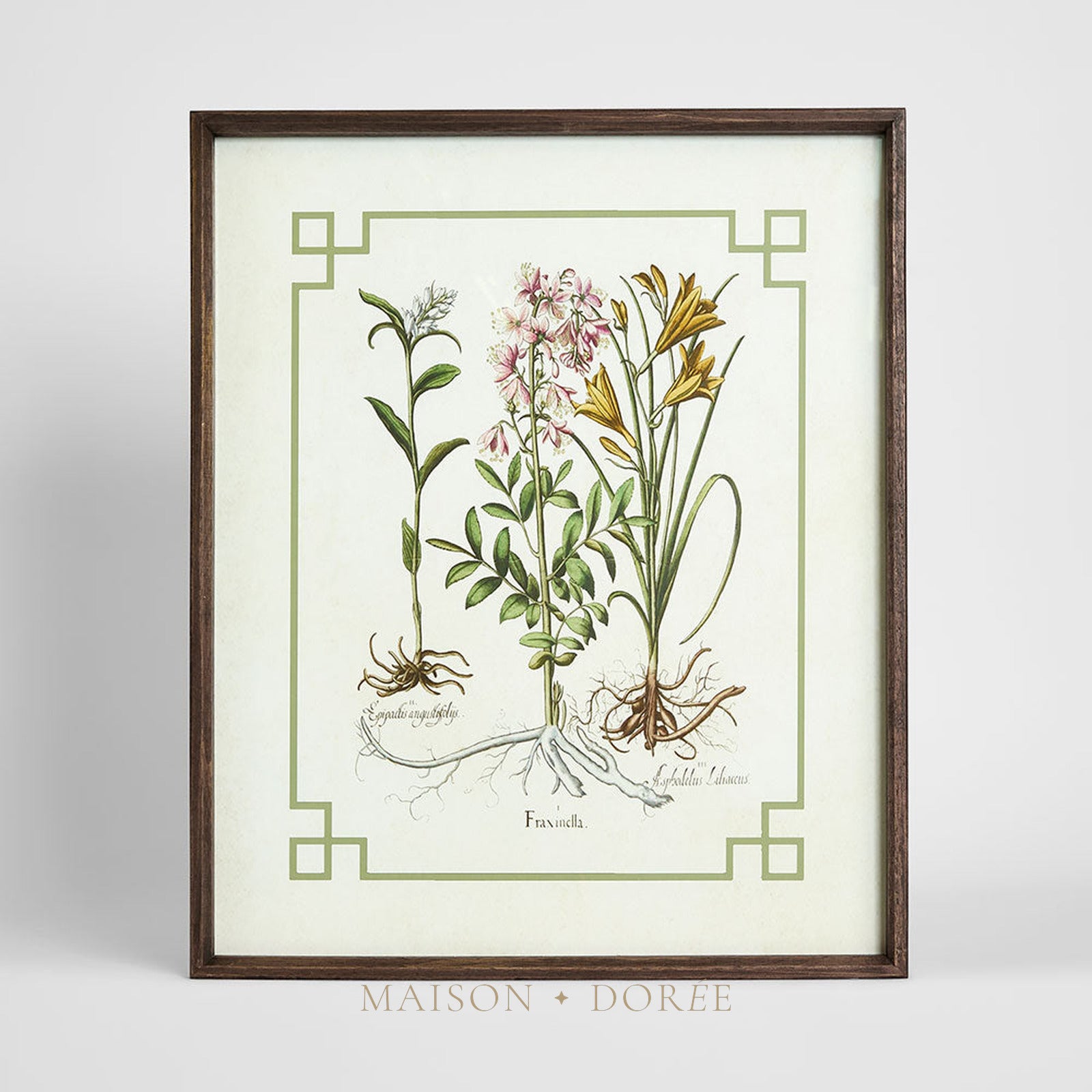 Vintage Flora 2 Wall Art 50x60cm
