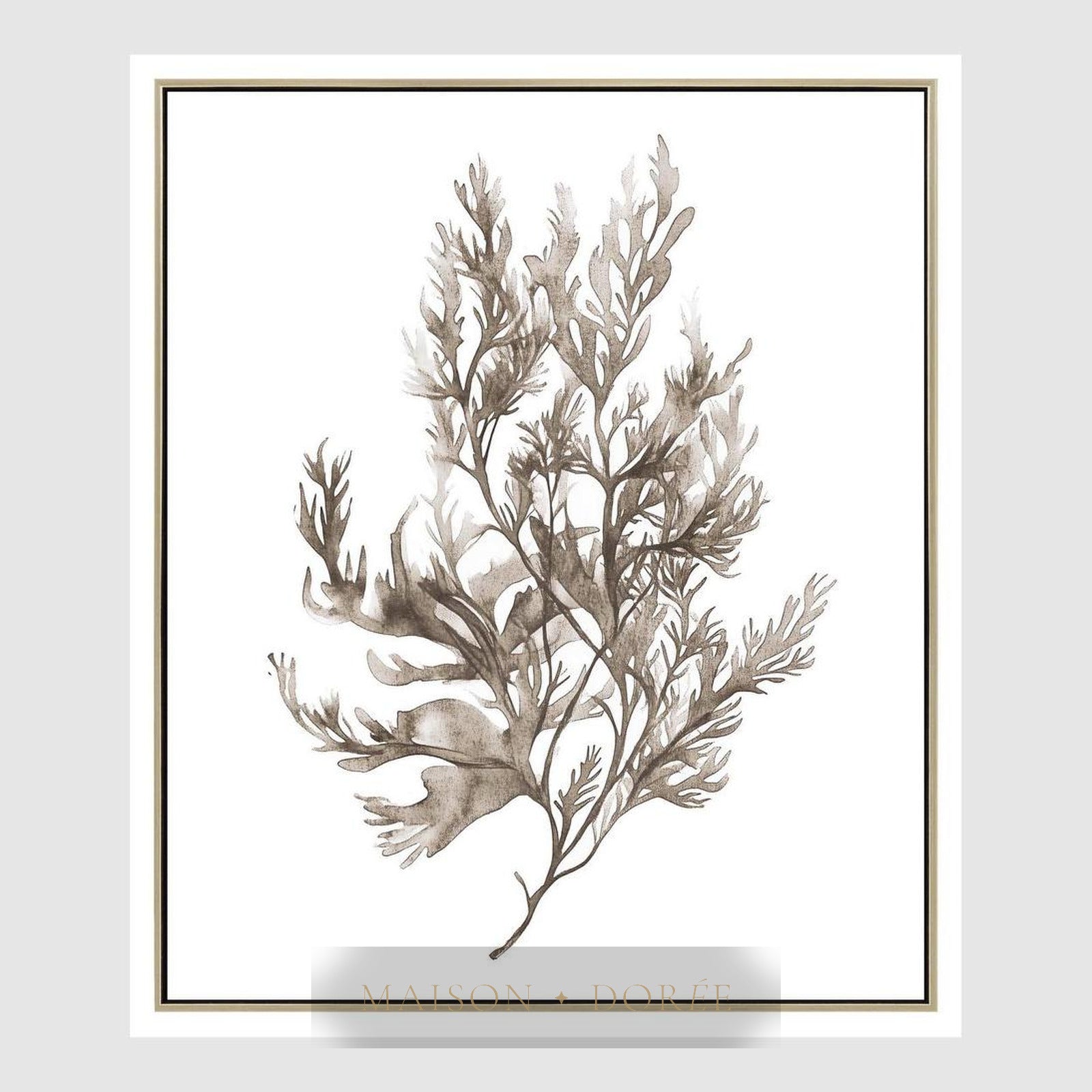 Coastal Botanical A Wall Art 52.5 x 62.5cm
