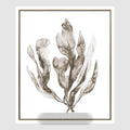 Coastal Botanical B Wall Art 52.5 x 62.5cm