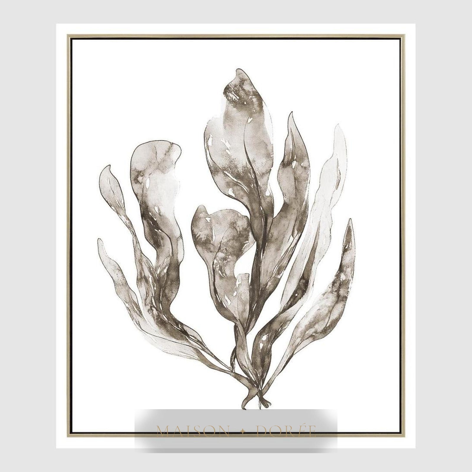 Coastal Botanical B Wall Art 52.5 x 62.5cm